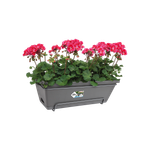 barcelona allin1 50cm antraciet